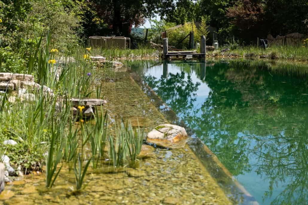 bassin naturel