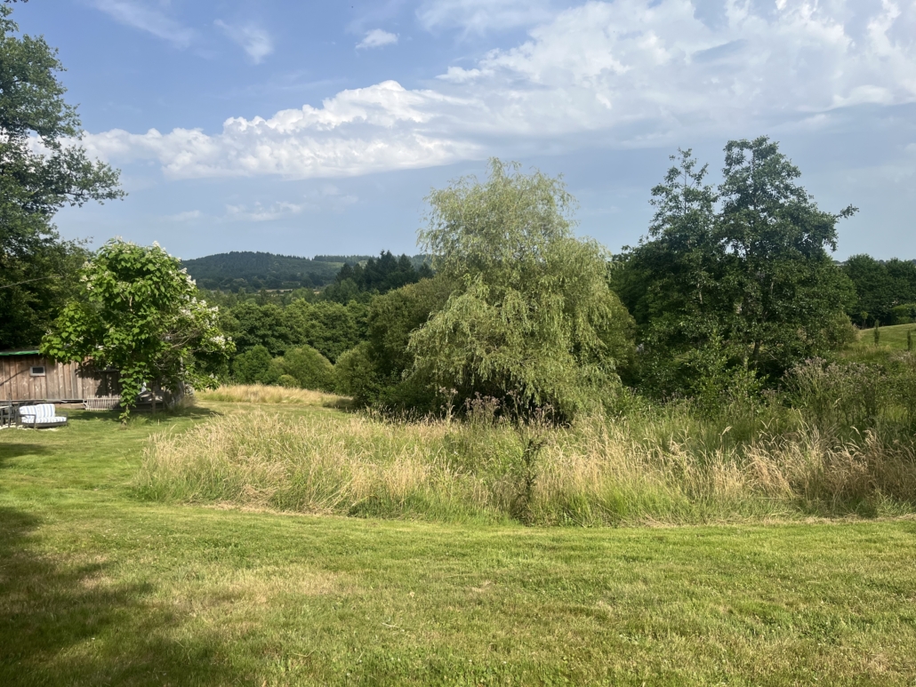 Cabane en pleine nature