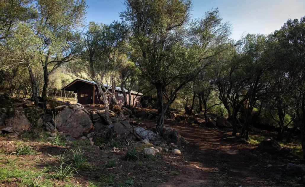 Vue environnement tente lodge Figari