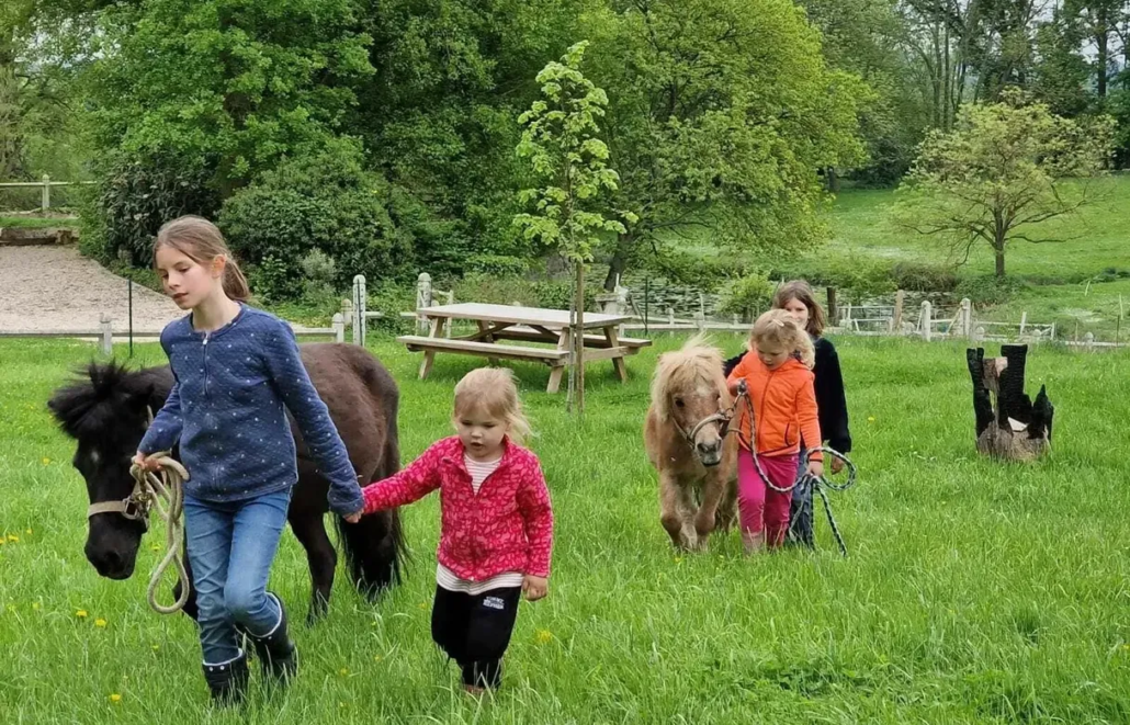 Enfants et poney ferme de fontenille