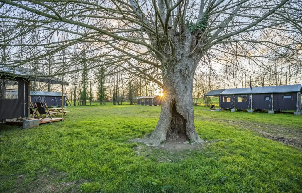 Tentes Lodges en pleine nature