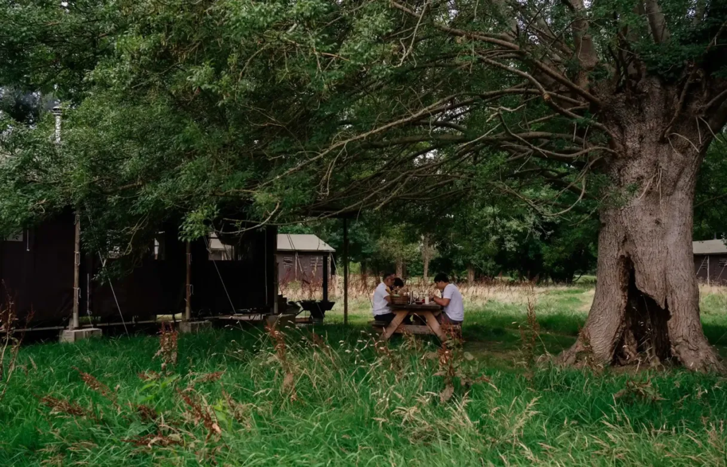 Table extérieur proche tente lodge sous les arbres
