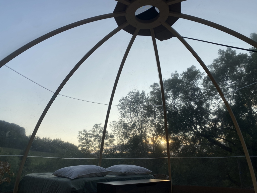 Intérieur bulle entourée de nature